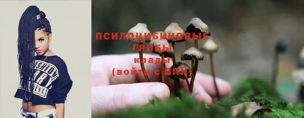 дживик Арсеньев