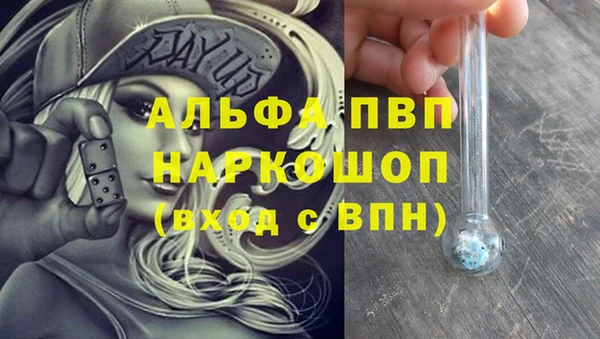 дживик Арсеньев