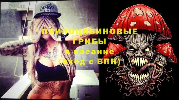 дживик Армянск