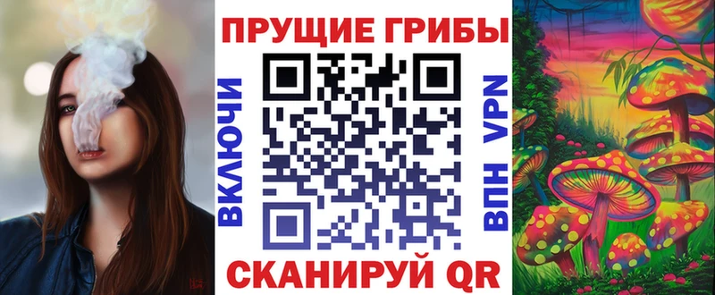 Псилоцибиновые грибы Cubensis  где можно купить   Белореченск 
